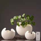 Pure Serenity™ Vase